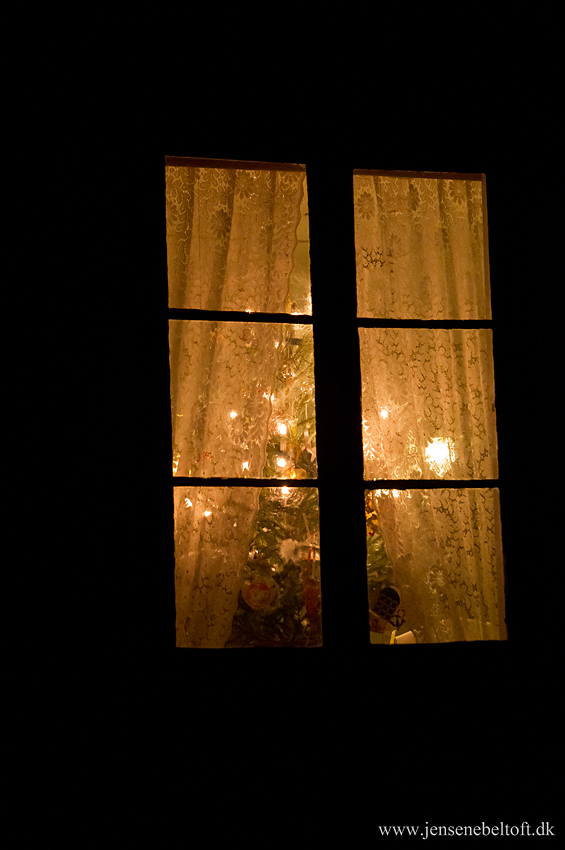 IMGP5558.jpg - Juletræ i vindue.