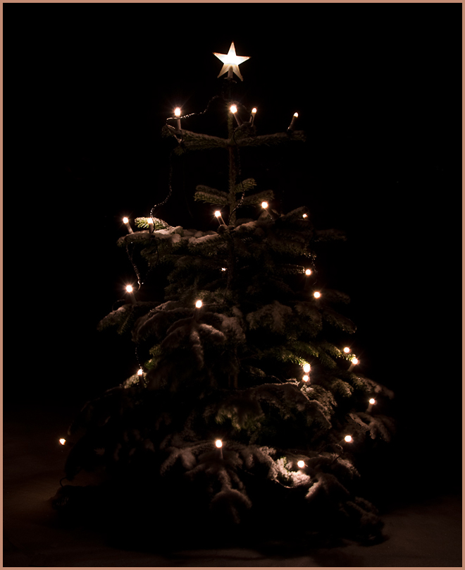 IMGP0822.jpg - UGE 1 : Først juletræet lige før det blev taget ned.