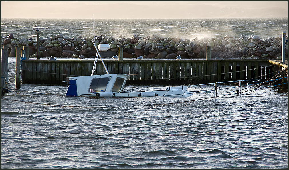 IMGP1064.jpg - UGE 5 : Ups! Vinteren kræver sine ofre. Lystbådehavnen Ebeltoft.