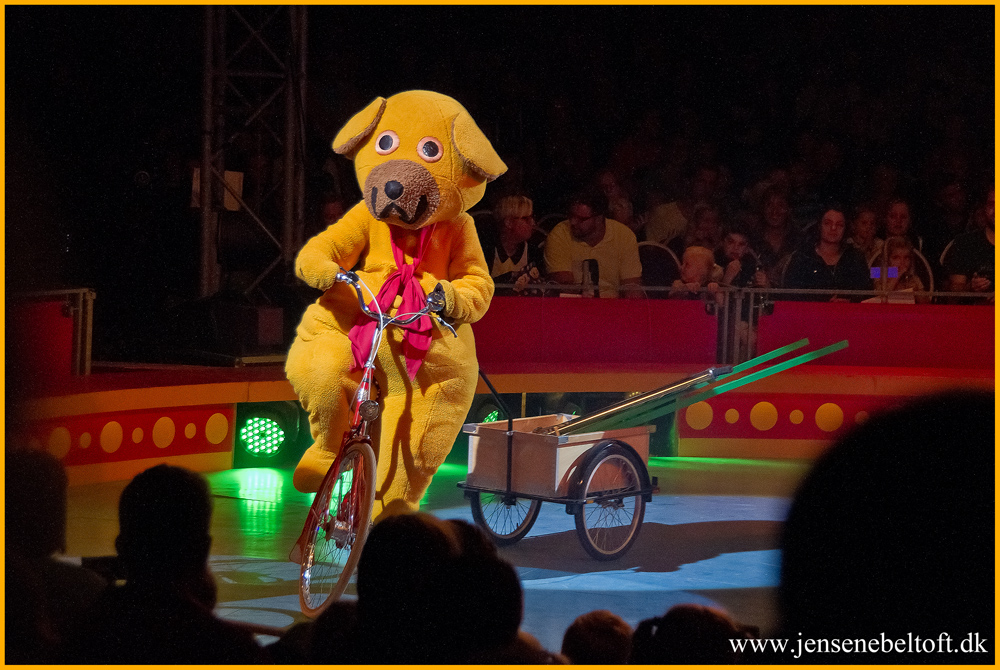 IMGP0059.jpg - UGE 32 : Bamse på cykel.