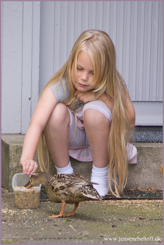 IMGP0215.jpg - UGE 33 : Andemor kommer jævnligt forbi til en næbfuld fuglefrø.